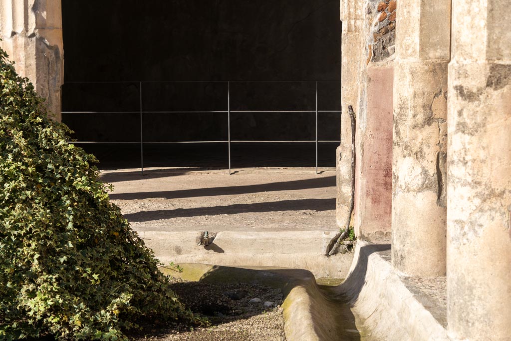 V.2.i Pompeii. January 2024. 
Looking north towards gutter and lead pipe and tap in north-east corner of peristyle. Photo courtesy of Johannes Eber.
