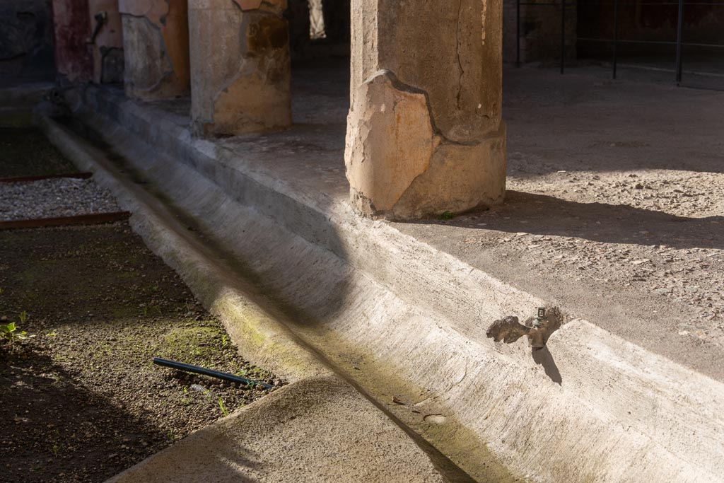 V.2.i Pompeii. January 2024. Looking west along north portico, with tap at side of gutter. Photo courtesy of Johannes Eber.