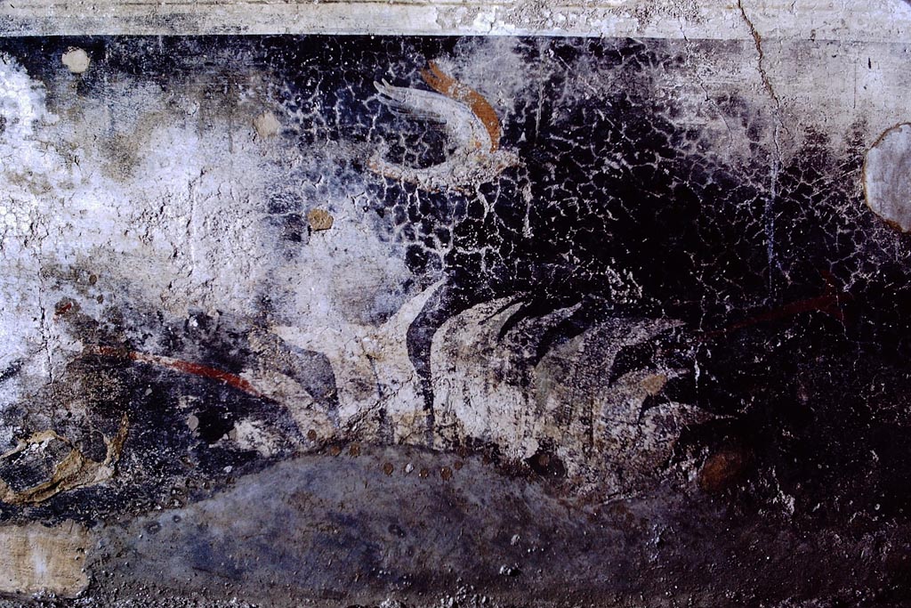 V.2.1 Pompeii, 1968. 
Room 17, black zoccolo panel with plant and bird in flight towards the right, from west end of south wall of anteroom of oecus/triclinium. 
Photo by Stanley A. Jashemski.
Source: The Wilhelmina and Stanley A. Jashemski archive in the University of Maryland Library, Special Collections (See collection page) and made available under the Creative Commons Attribution-Non-Commercial License v.4. See Licence and use details.
J68f1556

