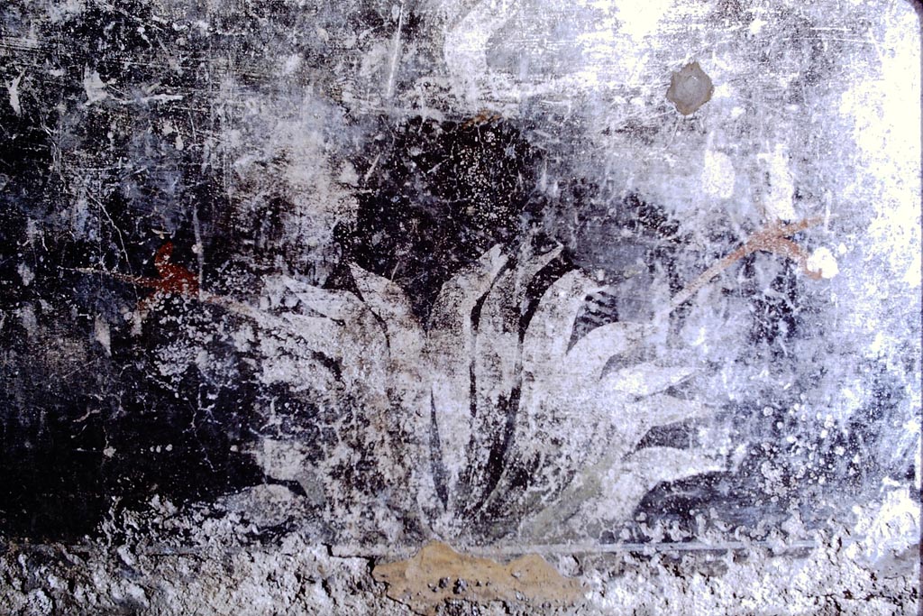 V.2.i Pompeii. 1968. 
Room 17, black zoccolo painted with plant and bird from north wall of oecus/triclinium. Photo by Stanley A. Jashemski.
Source: The Wilhelmina and Stanley A. Jashemski archive in the University of Maryland Library, Special Collections (See collection page) and made available under the Creative Commons Attribution-Non-Commercial License v.4. See Licence and use details.
J68f1554 
