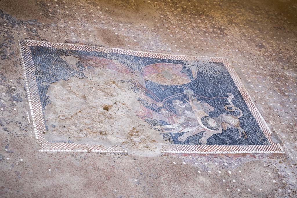 V.2, Pompeii. Casa di Orione. October 2021. Room 6, floor mosaic with panther. Photo courtesy of Johannes Eber.