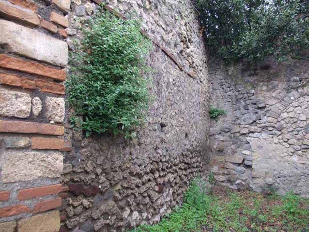 V.3.1 Pompeii. May 2010. West wall.