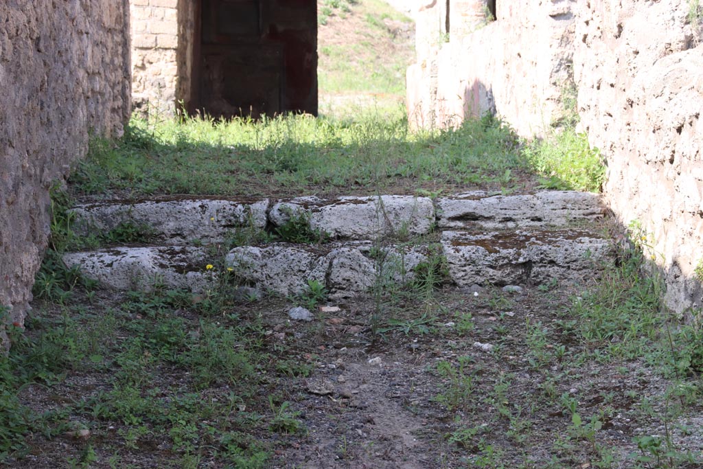 V.3.4 Pompeii. October 2023. Two limestone block steps in entrance corridor leading to west portico. Photo courtesy of Klaus Heese.