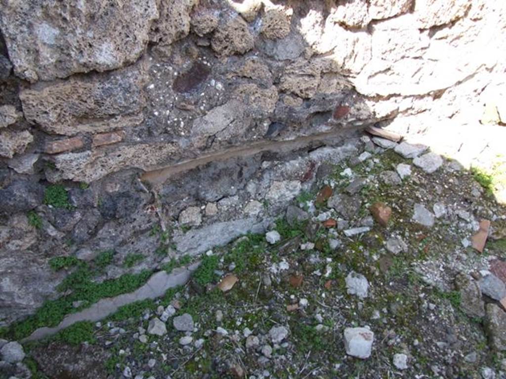 V.3.9 Pompeii. March 2009. North wall of triclinium D.  