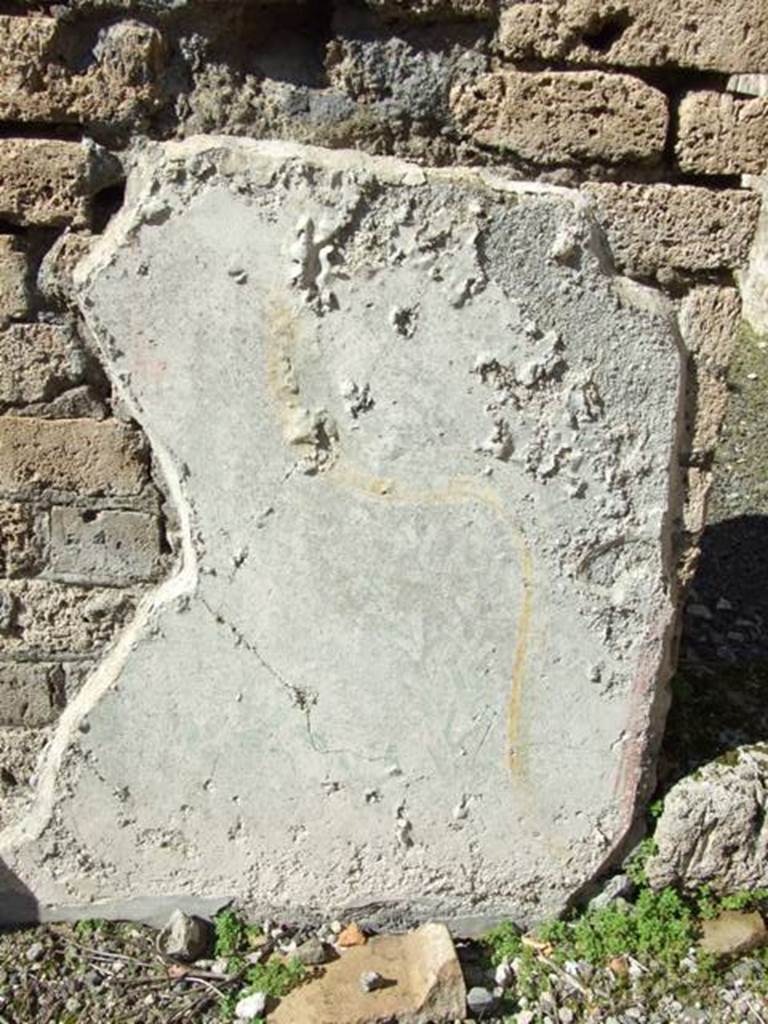 V.3.9 Pompeii.  March 2009.  North wall of atrium under Niche. Partially conserved remains of painted serpent and plants.
