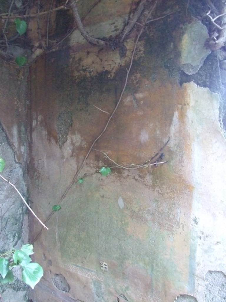V.3.11 Pompeii. March 2009. South wall and south-east corner of garden room. According to Bragantini, east of the doorway to the garden, the wall had a dado of imitation marble and diamond shaped panel. The middle zone was yellow and had a bordered panel with a painting, and a narrow white partition with a stretched garland. The frieze was yellow with a stretched garland.
See Bragantini, de Vos, Badoni, 1983. Pitture e Pavimenti di Pompei, Parte 2. Rome: ICCD. (p.80, room I)

