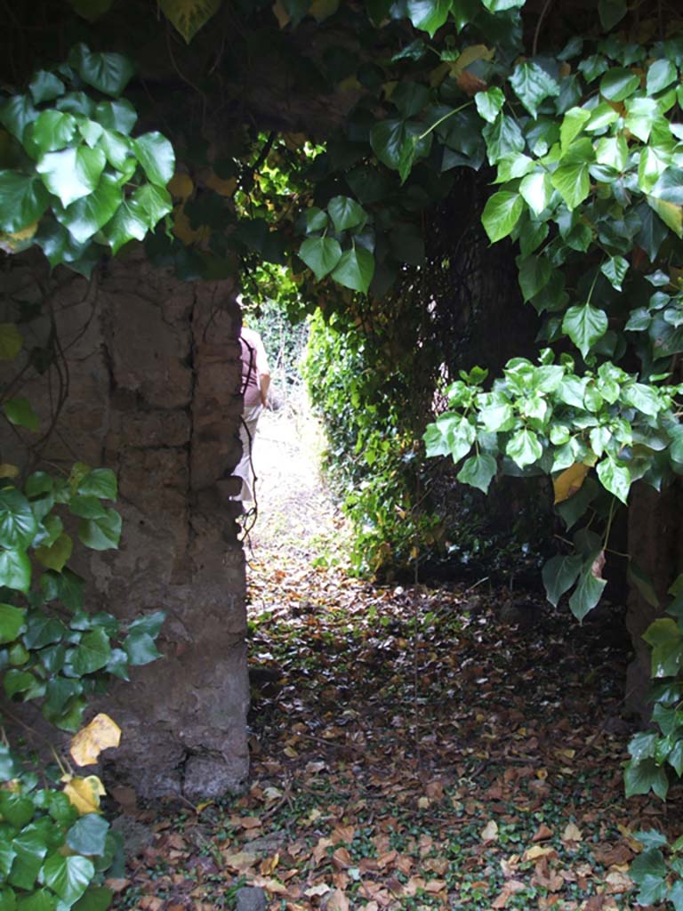 V.3.12 Pompeii. May 2005. Entrance fauces 1.