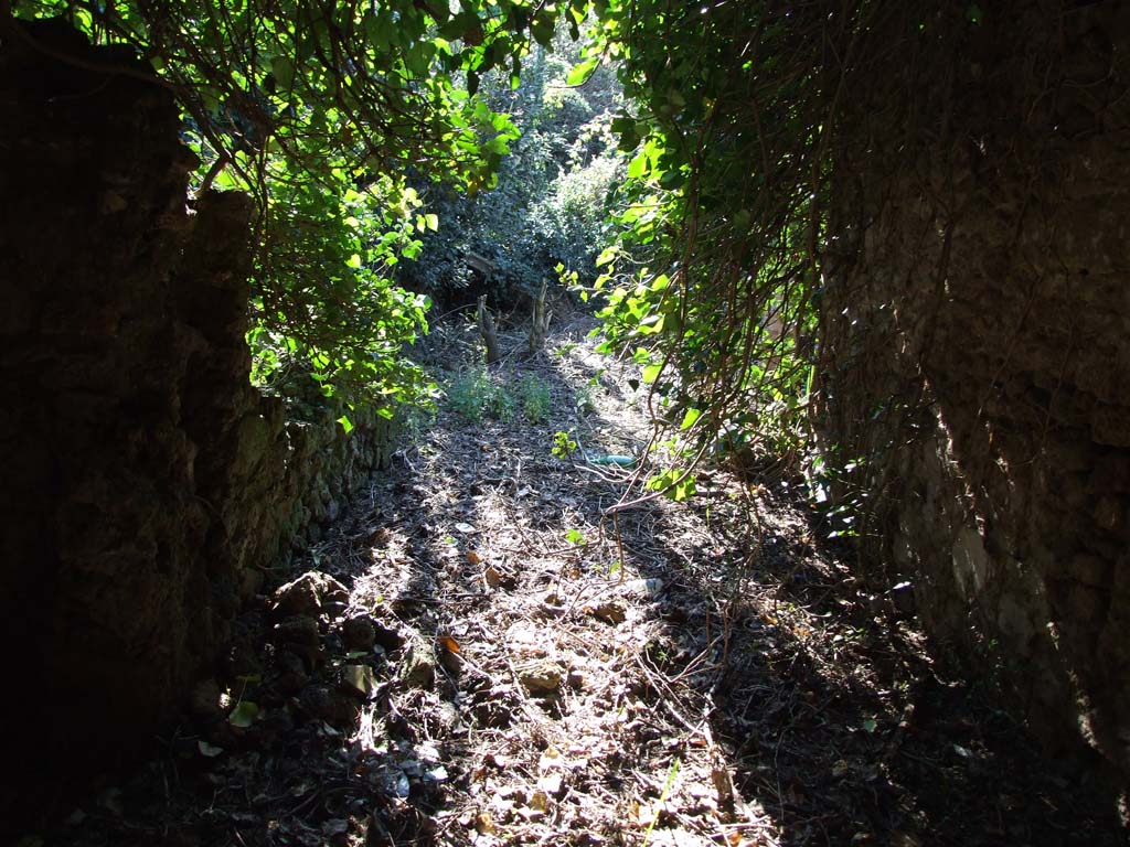 V.3.12 Pompeii. March 2009. Looking west across peristyle, numbered 2 on plan, from entrance fauces 1.
According to Jashemski –
The peristyle of this house (excavated 1905-6) was entered directly by a passageway from the street.
The garden was enclosed by a portico on four sides.
See Jashemski, W. F., 1993. The Gardens of Pompeii, Volume II: Appendices. New York: Caratzas. (p.115).