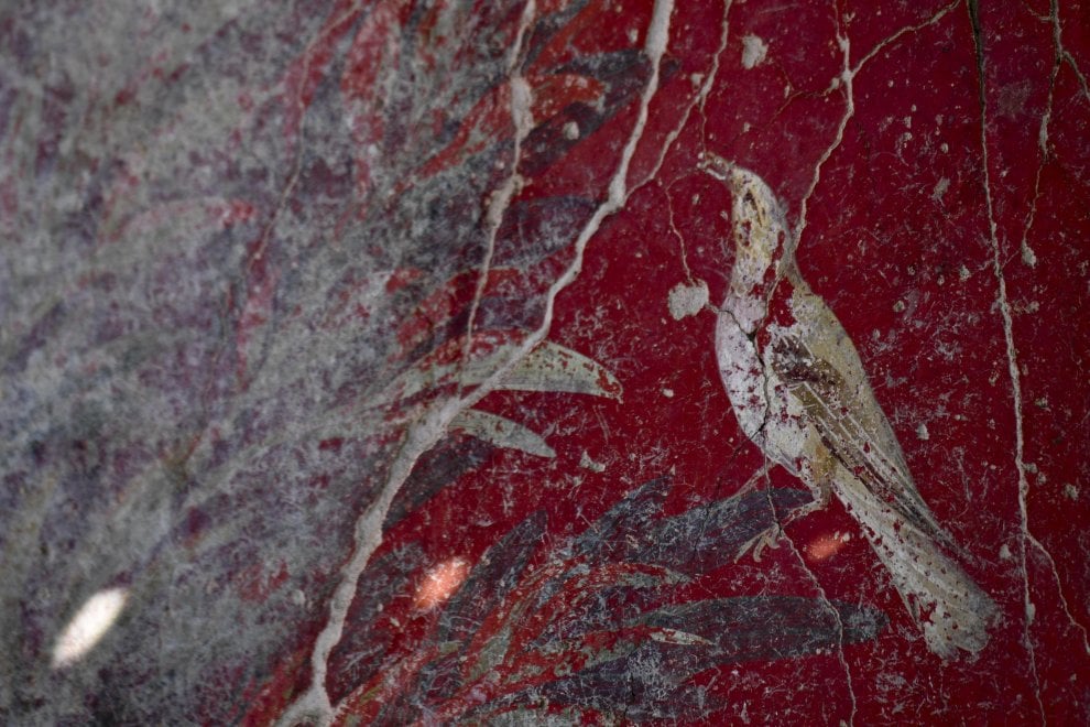 V.3.13 Pompeii. 2018. Room 2a. Lararium. South wall. Painting of a bird.

Parete sud. Dipinto di un uccello.

Photograph © Parco Archeologico di Pompei.
