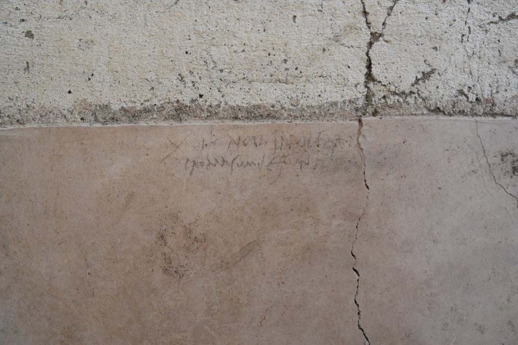 V.3 Pompeii. Casa del Giardino. October 2018. Atrium 5. Charcoal Inscription.
The walls of the atrium and the entrance corridor have preserved a considerable amount of graffiti, in the course of study, with phrases, in some cases of obscene character, and with drawings (including some stylized faces). In an unusual way, drawings traced with lime or plaster have been preserved in good condition, including one depicting a caricatured human face in profile, and with charcoal, also in this case human faces. Between these latter is also this charcoal inscription, which would support the hypothesis that the eruption of 79 AD may have occurred October 24, rather than August 24th.
Atrio 5. Iscrizione al carbone.
Le pareti dell’atrio e del corridoio di ingresso hanno conservato una notevole quantità di graffiti, in corso di studio, con frasi, in alcuni casi di carattere osceno, e con disegni (tra cui alcuni volti stilizzati). In maniera insolita, si sono conservati in buone condizioni, disegni tracciati con calce o gesso, tra cui uno raffigurante un volto umano caricaturale di profilo, e con carbone, anche in questo caso volti umani. Tra quest’ultimi anche l’iscrizione a carboncino, che supporterebbe l’ipotesi che l’eruzione del 79 d.C. possa essere avvenuta il 24 ottobre, piuttosto che il 24 agosto.
Photograph © Parco Archeologico di Pompei.
