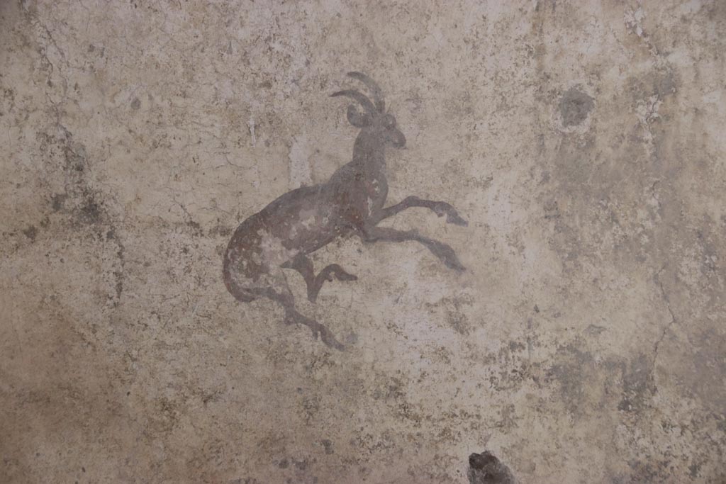 V.3 Pompeii. Casa del Giardino. October 2022.
Room 7, detail of painted goat from east end of south wall. Photo courtesy of Klaus Heese.