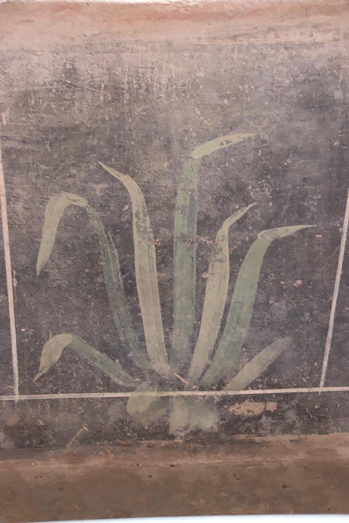 V.3 Pompeii. Casa del Giardino. October 2022.
Portico 10, black zoccolo with painted plant. Photo courtesy of Klaus Heese.