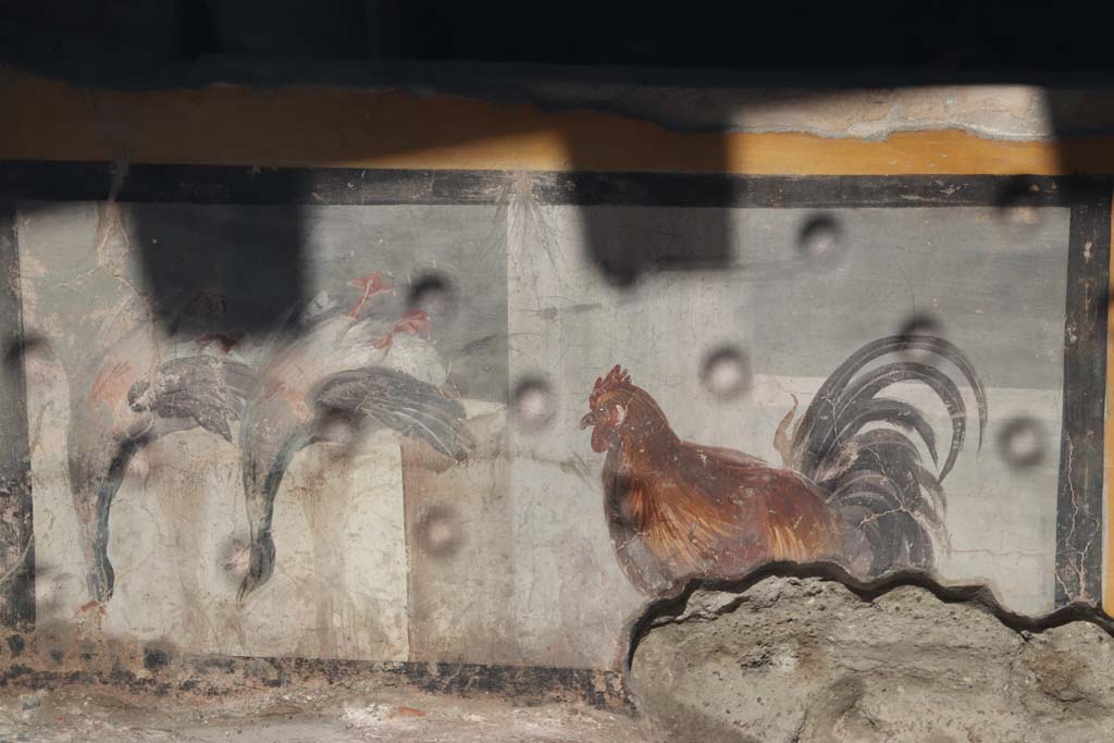 V.3 Pompeii, Thermopolium with painting of nereid. September 2021. 
Painted detail of dead ducks waiting to be cooked and eaten, and rooster looking worried, on west side of counter in bar-room. 
Photo courtesy of Klaus Heese.

