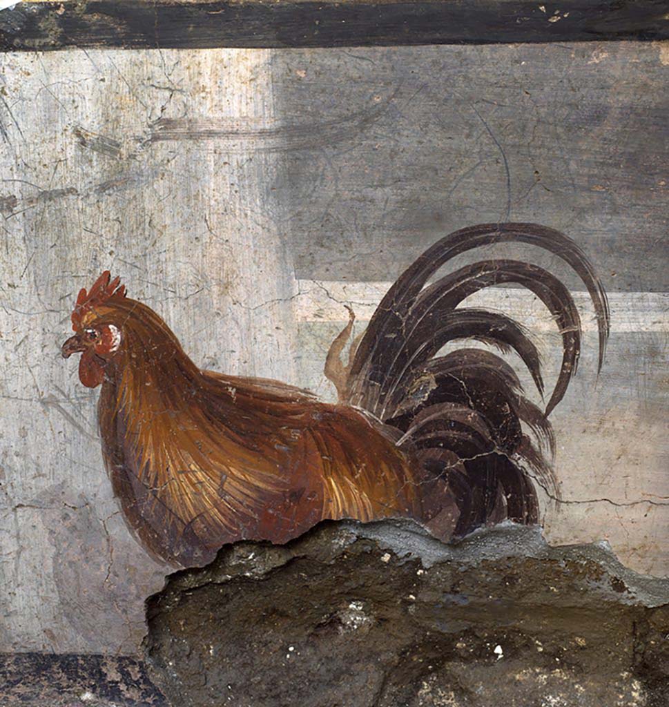 V.3 Pompeii, Thermopolium with painting of nereid. December 2020. Painting of a cockerel on side of counter.

V.3 Pompei, Termopolio con dipinto di nereide e anfore. Dicembre 2020. Dipinto di un gallo sul lato del bancone.

Photo by Luigi Spina courtesy of Parco Archeologico di Pompei.