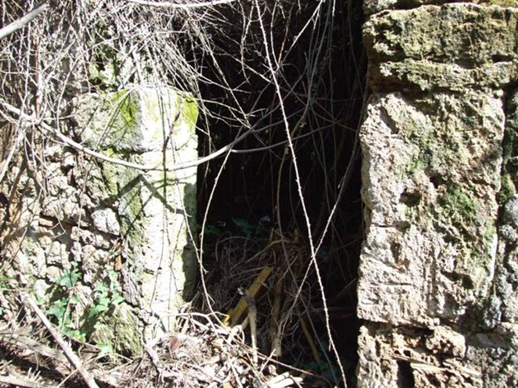 V.4.13 Pompeii. March 2009. Entrance to kitchen and latrine. According to Boyce, painted on the south wall of the kitchen, on a white background, were two yellow serpents. They were near a very small cylindrical altar. In the zone above, one Lar was visible at the time of excavation. See Boyce G. K., 1937. Corpus of the Lararia of Pompeii. Rome: MAAR 14. (p.42, no.127) According to Giacobello, the lararium was on the south wall, the hearth was located near to the east wall.
The kitchen might not be accesible because of vegetation.
See Giacobello, F., 2008. Larari Pompeiani: Iconografia e culto dei Lari in ambito domestico. Milano: LED Edizioni. (p.170)
According to Van der Poel’s plan, the latrine was in the north-east corner of the kitchen.
See Van der Poel, H. B., 1986. Corpus Topographicum Pompeianum, Part IIIA. Austin: University of Texas. (p. 79)