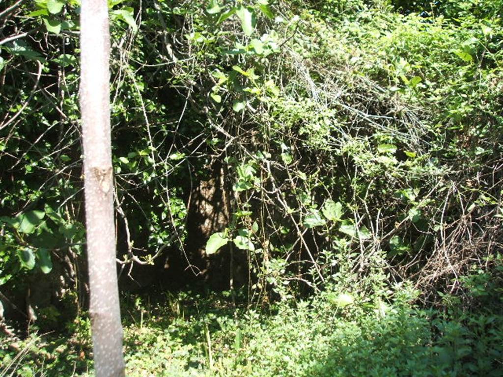 V.4.13 Pompeii. May 2005. North west side of atrium or lightyard.