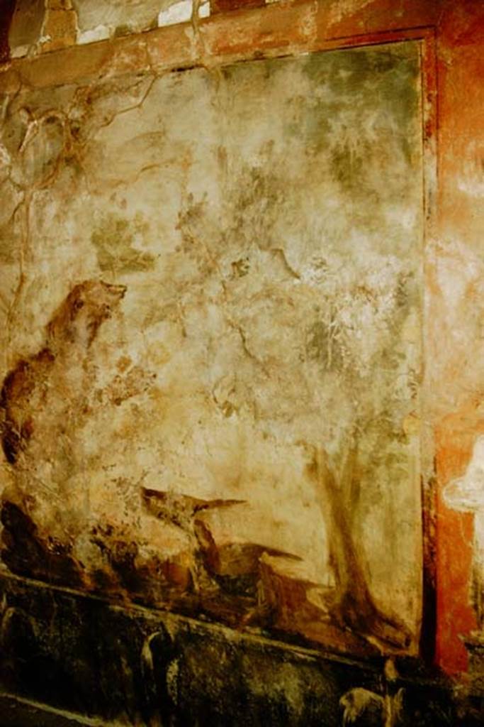 V.4.a Pompeii. 1957. Garden painting from north wall. Photo by Stanley A. Jashemski.
Source: The Wilhelmina and Stanley A. Jashemski archive in the University of Maryland Library, Special Collections (See collection page) and made available under the Creative Commons Attribution-Non Commercial License v.4. See Licence and use details.
J57f0301