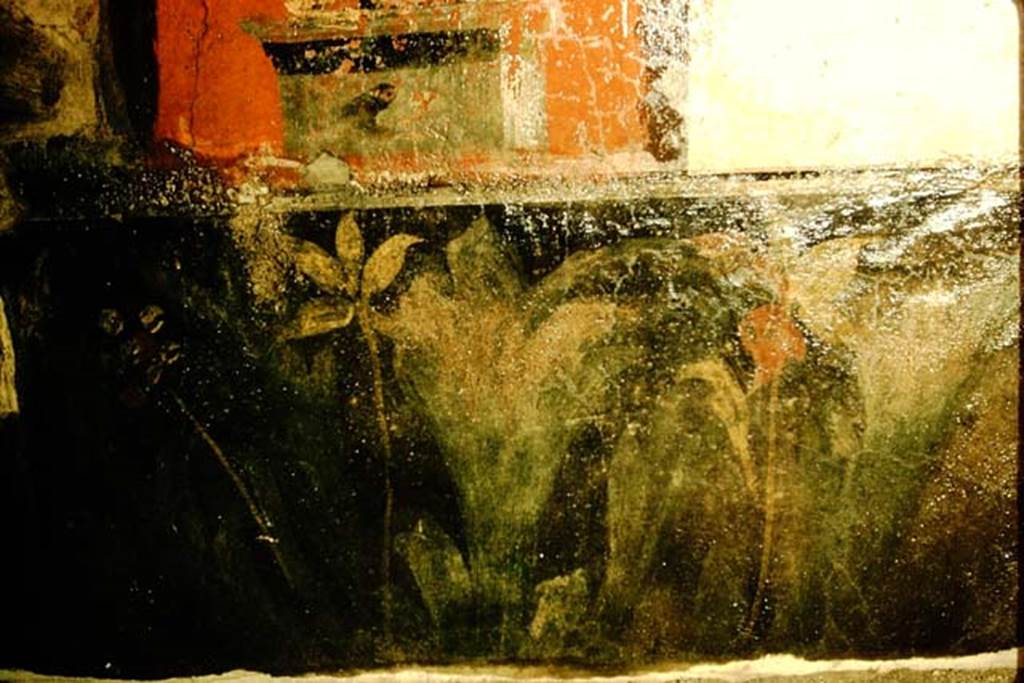 V.4.a Pompeii. 1957. Garden plants painting from lower area of north wall. Photo by Stanley A. Jashemski.
Source: The Wilhelmina and Stanley A. Jashemski archive in the University of Maryland Library, Special Collections (See collection page) and made available under the Creative Commons Attribution-Non Commercial License v.4. See Licence and use details.
J57f0303