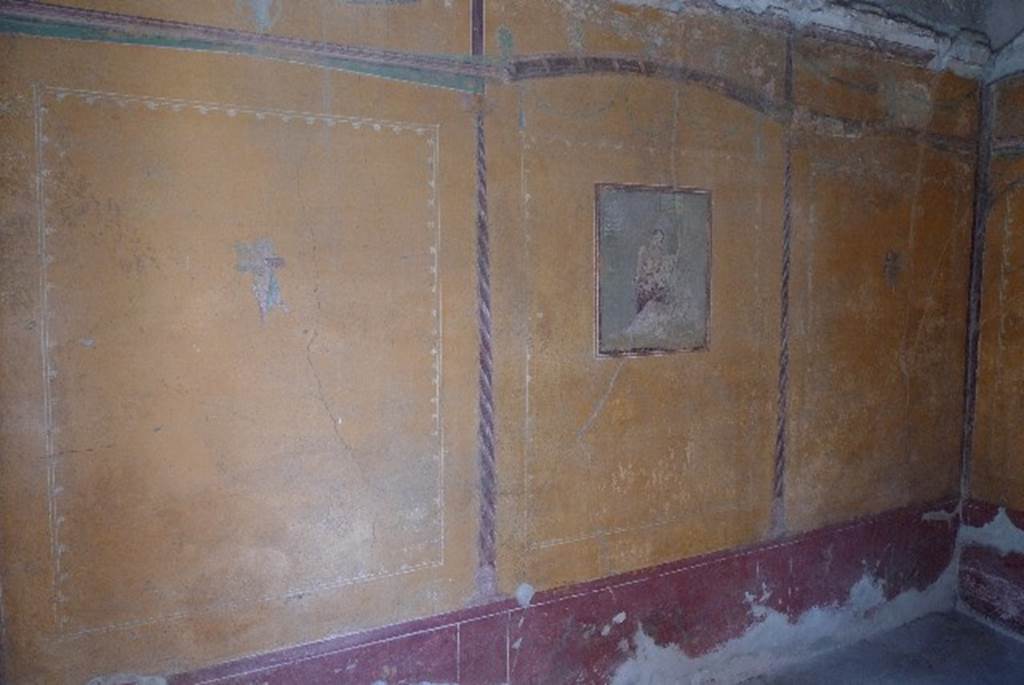 V.4.a Pompeii. July 2010. South wall of cubiculum to south of tablinum. Photo courtesy of Michael Binns.