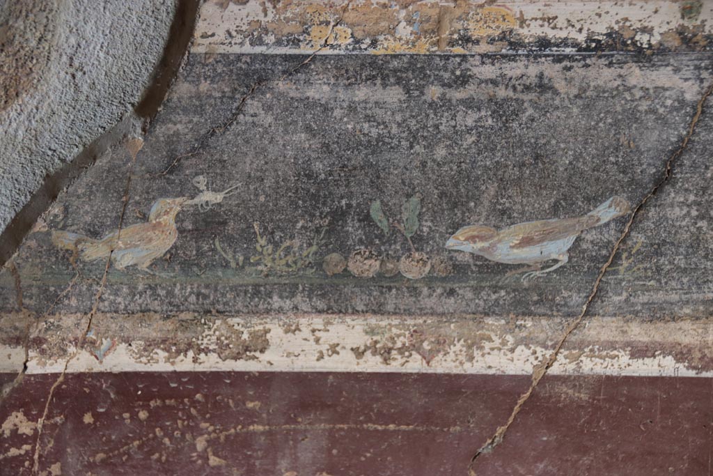 V.4.a Pompeii. October 2023.  
Room ‘g’, detail of painted birds from predella above zoccolo on lower east wall towards north end. Photo courtesy of Klaus Heese.
