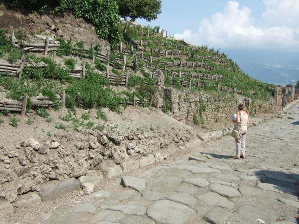 V.6.6 Pompeii. May 2006. Looking south-east along Via del Vesuvio, in the vicinity of V.6.6.
