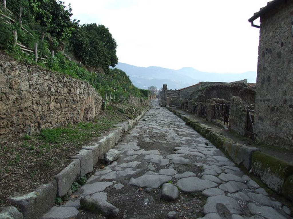 V.6.7 Pompeii, on left. December 2006. Looking south along Via del Vesuvio.        VI.16.15, on the right.
