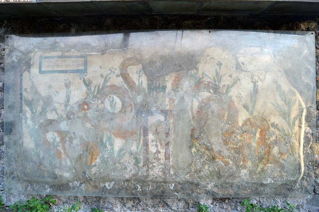 V.6.19 Pompeii. October 2017. Detail of painted lararium on exterior wall.
Foto Taylor Lauritsen, ERC Grant 681269 DCOR.
