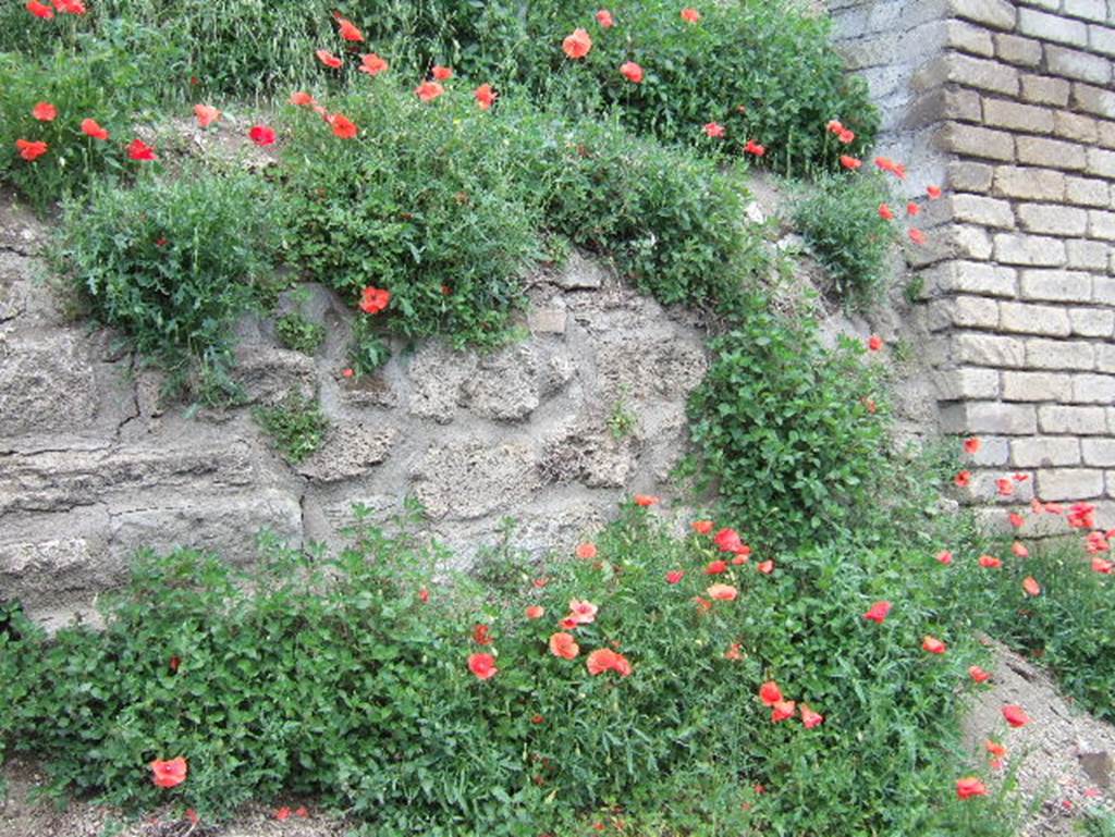 V.7.1 Pompeii. May 2006. Front façade on east of entrance doorway.