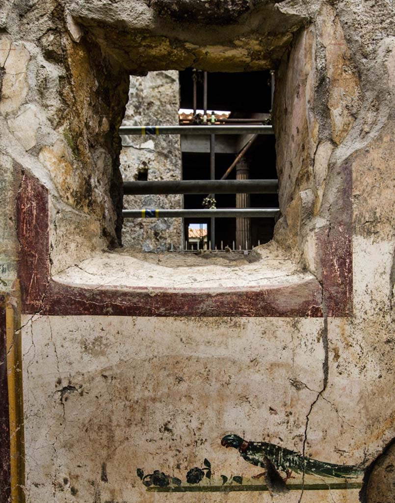 V.7.7 Pompeii. 2018. Room to the west of the entrance. South wall with window looking across to V.2.i.
Underneath is a painting of a parrot with fruit.
Photograph © Parco Archeologico di Pompei.
