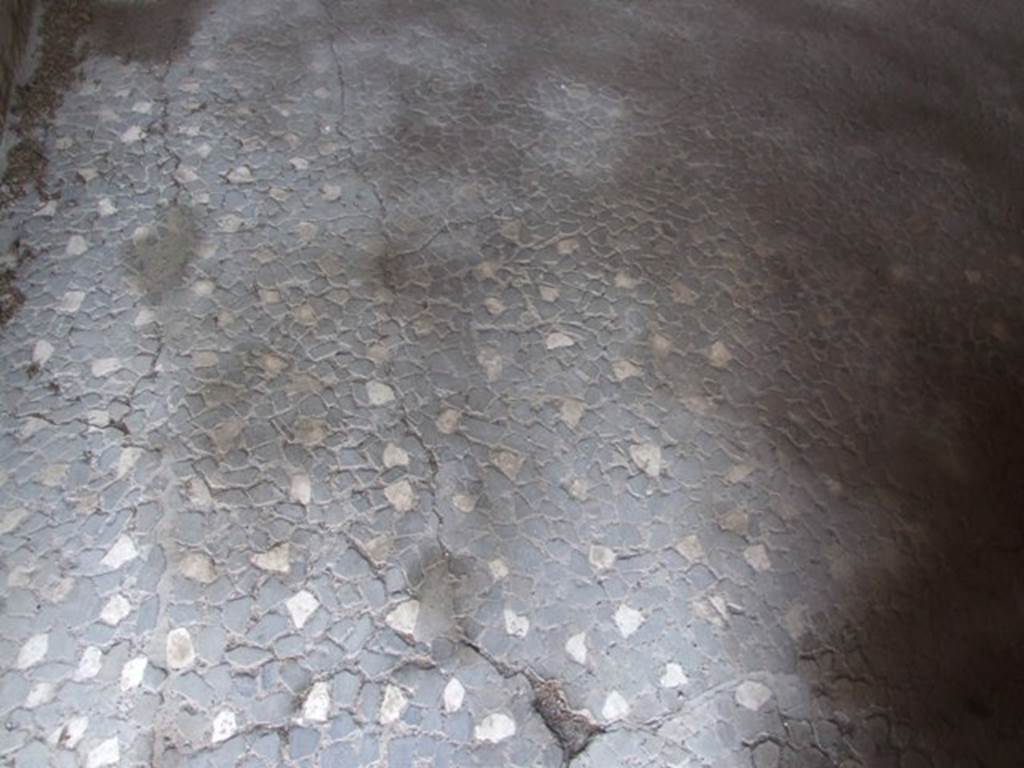 VI.1.10 Pompeii. December 2007. Room 9, decorated floor in room to south of garden.
