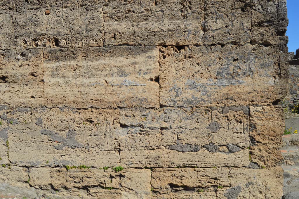 VI.1.10 Pompeii. March 2019. Detail of front wall at south end near doorway at VI.1.11, on right.
Foto Taylor Lauritsen, ERC Grant 681269 DÉCOR.

