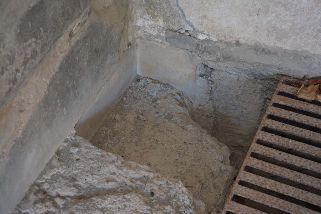 VI.2.4 Pompeii. December 2017. Detail from south-west corner in oecus.
Foto Annette Haug, ERC Grant 681269 DCOR
