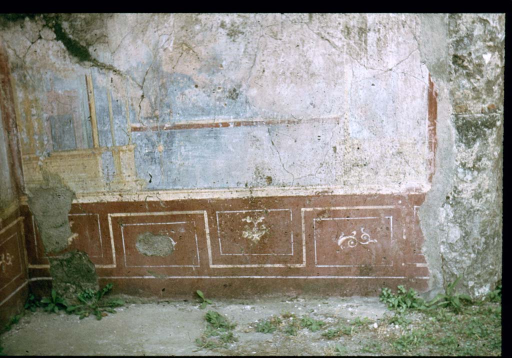 VI.2.4 Pompeii. Painted plaster on west wall in south-west corner between the diaeta and the triclinium.
Photographed 1970-79 by Günther Einhorn, picture courtesy of his son Ralf Einhorn.
