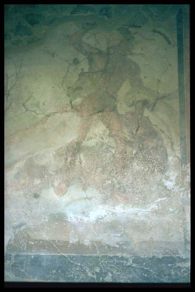 VI.2.4 Pompeii. Garden. Wall painting of Acteon.
Photographed 1970-79 by Gnther Einhorn, picture courtesy of his son Ralf Einhorn.
