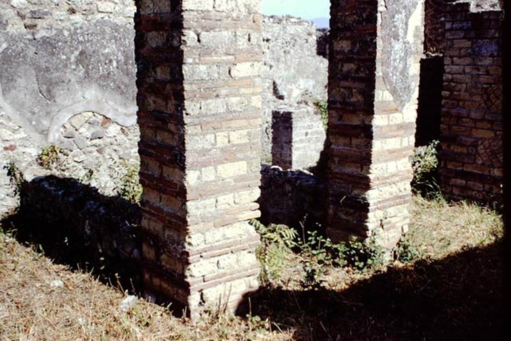 VI.3.21 Pompeii. 1968. Looking south-east towards two pillars and area of garden, according to Fiorelli and Jashemski. Photo by Stanley A. Jashemski.
Source: The Wilhelmina and Stanley A. Jashemski archive in the University of Maryland Library, Special Collections (See collection page) and made available under the Creative Commons Attribution-Non Commercial License v.4. See Licence and use details. J68f1976
