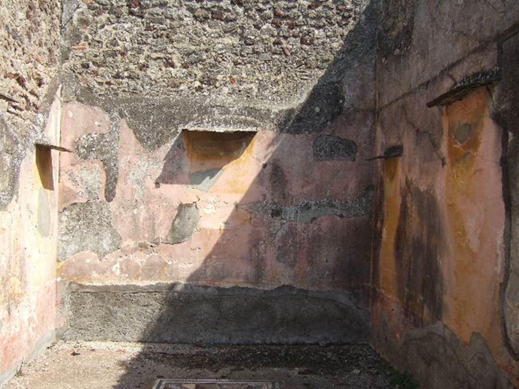 VI.5.5 Pompeii. September 2005. Triclinium to the left behind the peristyle, in the north-east corner. Looking east. 
Helbig identifies in this room: Room to the left behind the peristyle, Polyphemus, 1047, Oedipus, 1155, Leda, 151.
See Helbig, W., 1868. Wandgemlde der vom Vesuv verschtteten Stdte Campaniens. Leipzig: Breitkopf und Hrtel. (1047, 1155, 151).
According to PPM, the walls of this room are described as being painted in IV style, above the red zoccolo/dado/plinth it was dividied into panels separated by compartments with painted plants, the middle area of the wall was painted yellow, but the upper zone was faded and colour unrecognisable.
The flooring was cocciopesto, with a border of black and white mosaics enclosing a rectangular area, also of cocciopesto but inserted with tiles and chippings of coloured marble. 
See Carratelli, G. P., 1990-2003. Pompei: Pitture e Mosaici. 4.  Roma: Istituto della enciclopedia italiana. (p.329, 330)




