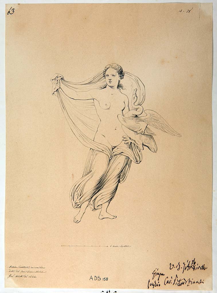 VI.5.5 Pompeii. 1844 drawing by Giuseppe Abbate of a panel with Leda and the swan (Helbig 151). 
Now in Naples Archaeological Museum. Inventory number ADS 158.
Photo  ICCD. http://www.catalogo.beniculturali.it
Utilizzabili alle condizioni della licenza Attribuzione - Non commerciale - Condividi allo stesso modo 2.5 Italia (CC BY-NC-SA 2.5 IT)
According to Helbigs topographical list, this panel also came from the triclinium, but today the IV Style decoration has disappeared.
