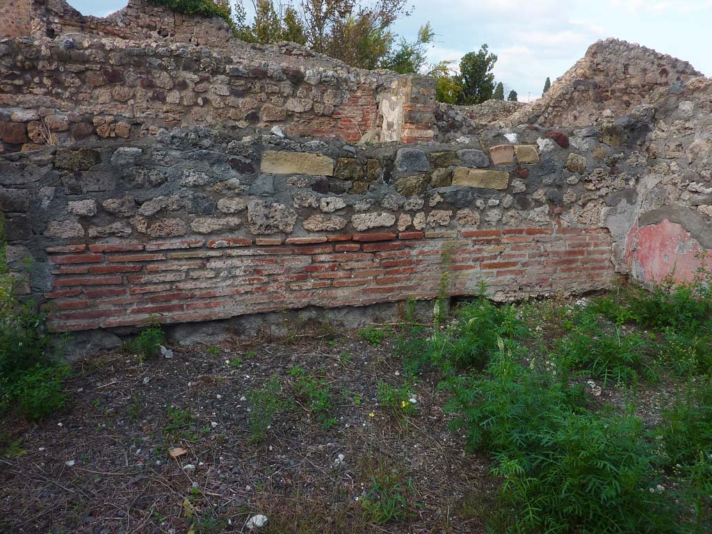 VI.5.9 Pompeii. November 2021. Looking towards north wall in triclinium. Photo courtesy of Hélène Dessales.