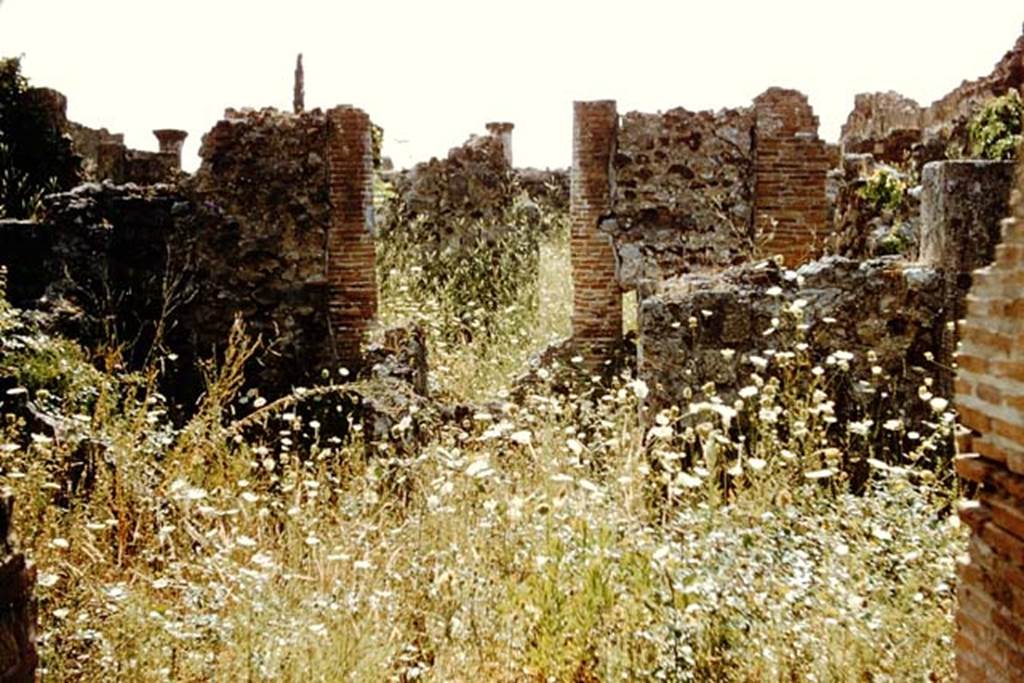 VI.5.19 Pompeii, 1959. Looking west across atrium from entrance doorway. Photo by Stanley A. Jashemski. 
Source: The Wilhelmina and Stanley A. Jashemski archive in the University of Maryland Library, Special Collections (See collection page) and made available under the Creative Commons Attribution-Non Commercial License v.4. See Licence and use details. J59f0571  
