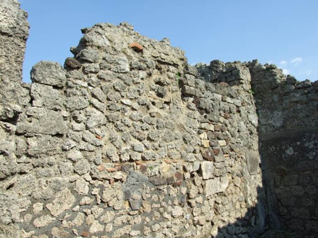 VI.7.3 Pompeii.  March 2009.  Room 8.  East wall.