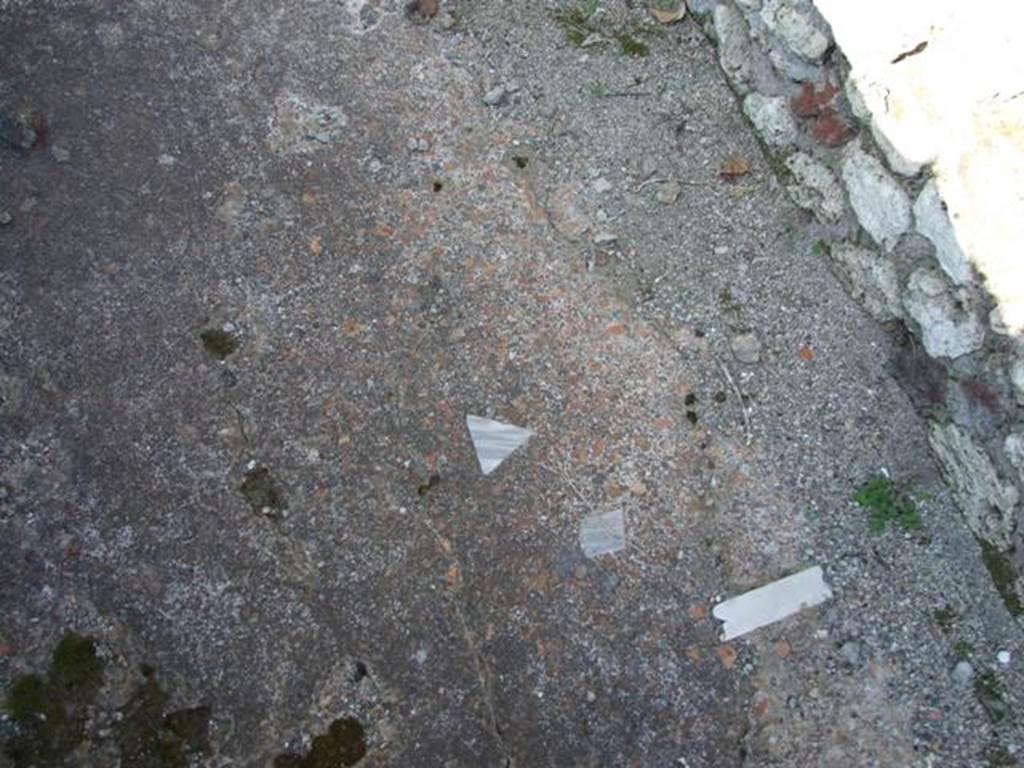 VI.7.3 Pompeii.  March 2009. Room 2.  Remains of floor.

