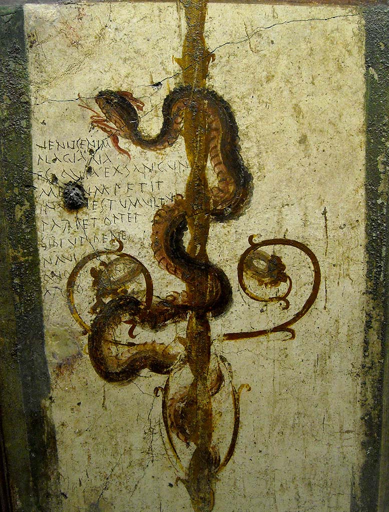 VI.7.6 Pompeii. Found in 1835, room 2, cubiculum. Painting of a serpent, bringer of good fortune. 
Now in Naples Archaeological Museum. Inventory number 4694.
