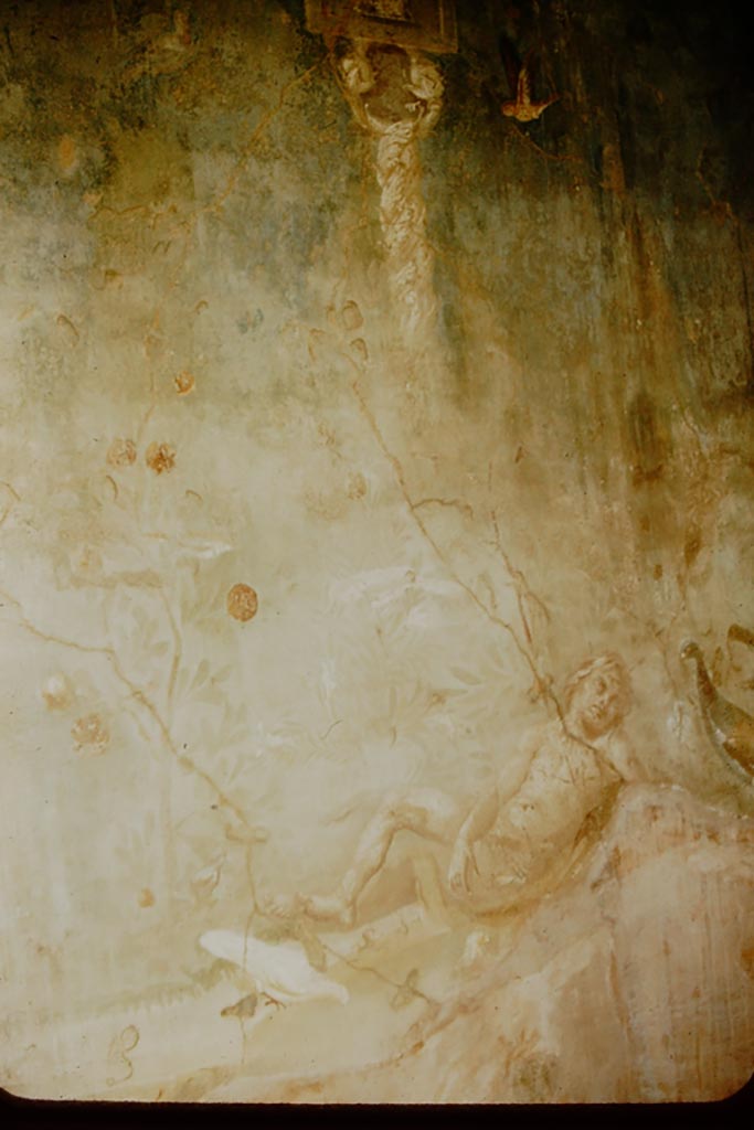 VI.7.18 Pompeii. 1957. 
Detail of sleeping boy/Eros? and peacock, from north wall. Photo by Stanley A. Jashemski.
Source: The Wilhelmina and Stanley A. Jashemski archive in the University of Maryland Library, Special Collections (See collection page) and made available under the Creative Commons Attribution-Non Commercial License v.4. See Licence and use details.
J57f0188 
