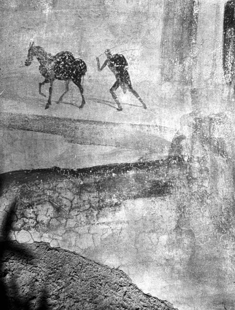 VI.7.23 Pompeii. W.1194. Wall painting of man and horse, from south wall of bedroom.
Photo by Tatiana Warscher. Photo © Deutsches Archäologisches Institut, Abteilung Rom, Arkiv.

