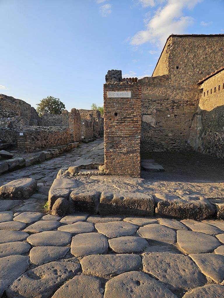 VI.8.4 Pompeii. November 2024. 
Looking north to pilaster on west side of entrance doorway. Photo courtesy of Annette Haug.
