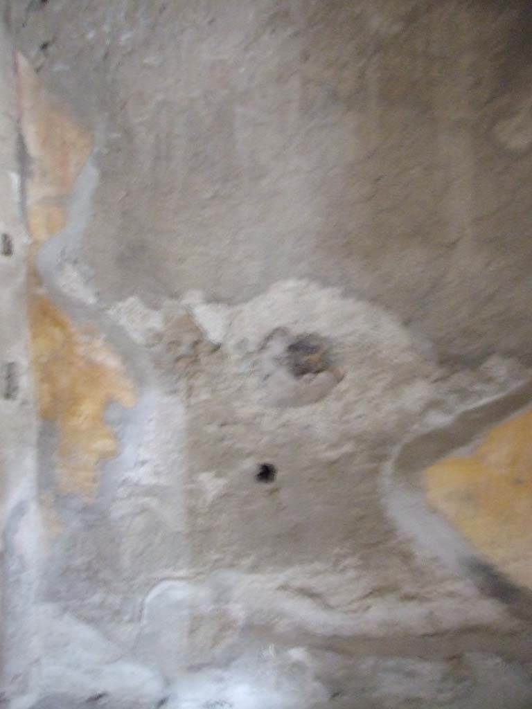 VI.8.5 Pompeii. March 2009. Room 8, north wall of storeroom. 