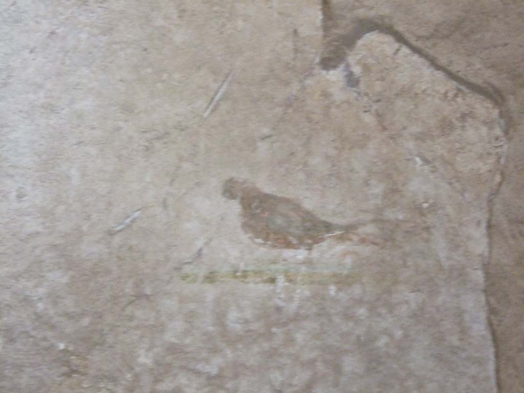 VI.8.5 Pompeii. March 2009. Room 7, painting of bird on north wall, west end, in cubiculum. 