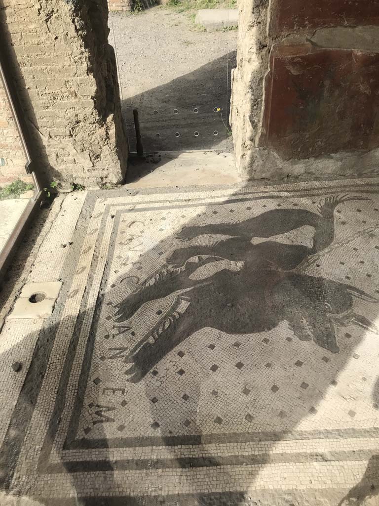 VI.8.5, Pompeii. April 2019. Looking west from side towards mosaic at entrance doorway. 
Photo courtesy of Rick Bauer.
