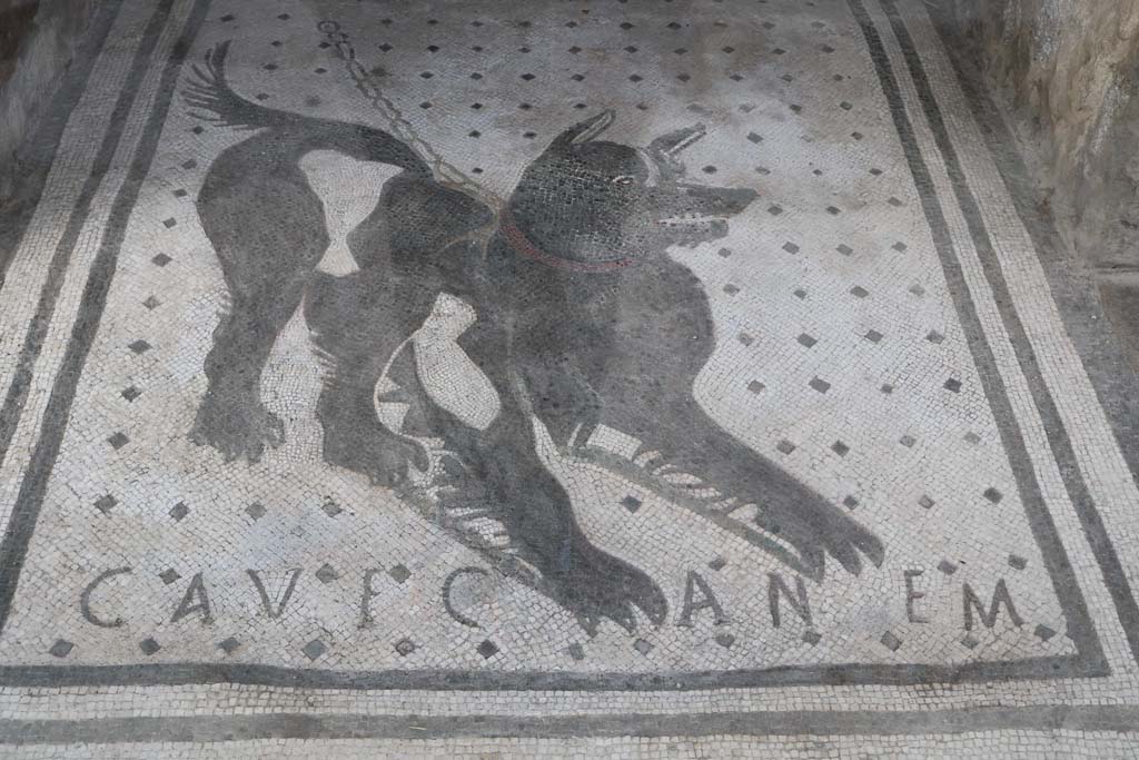 VI.8.5, Pompeii. December 2018.  
Looking north through entrance towards watchdog (Cave Canem mosaic). Photo courtesy of Aude Durand.
