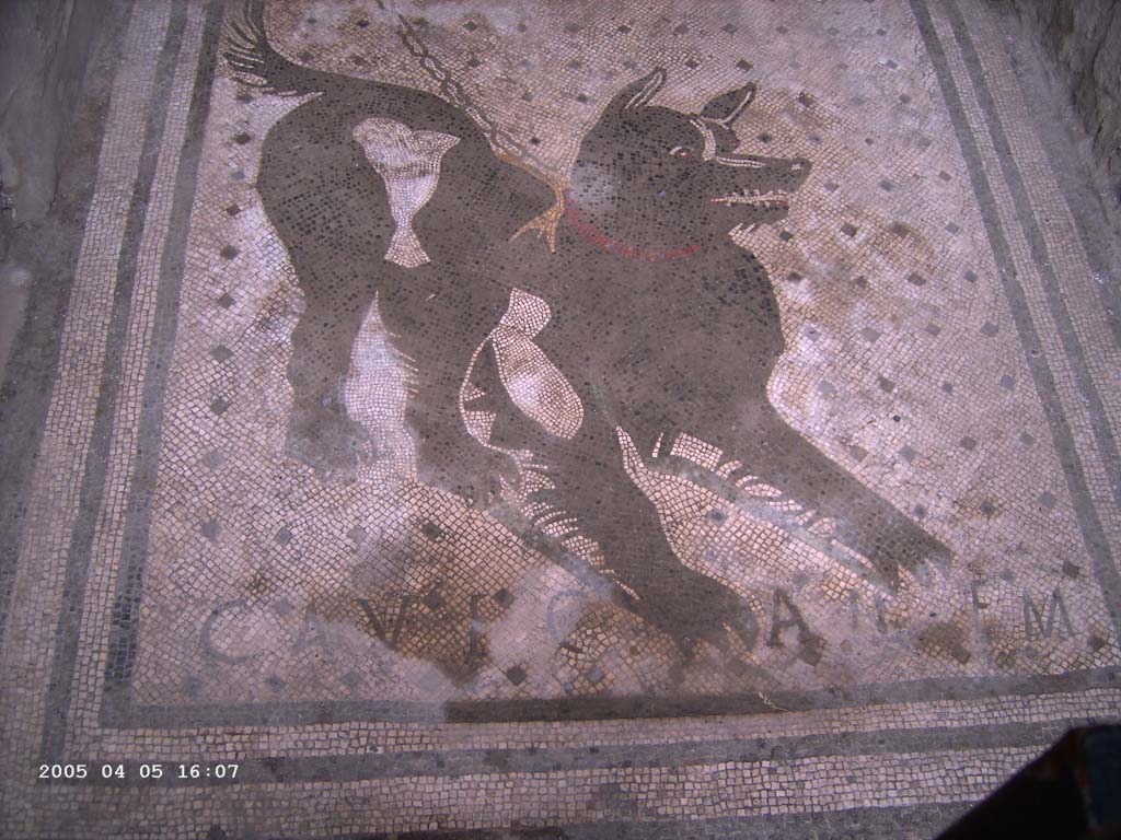 VI.8.5 Pompeii. August 2005. Cave Canem mosaic. Photo courtesy of Klaus Heese.